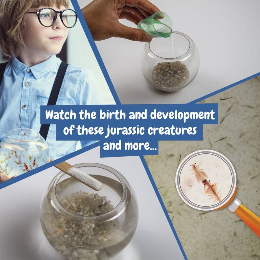 Jurassic Pets Kit I. Pedagogiskt spel för barn