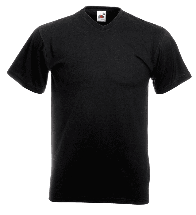 Valueweight V Neck Tee