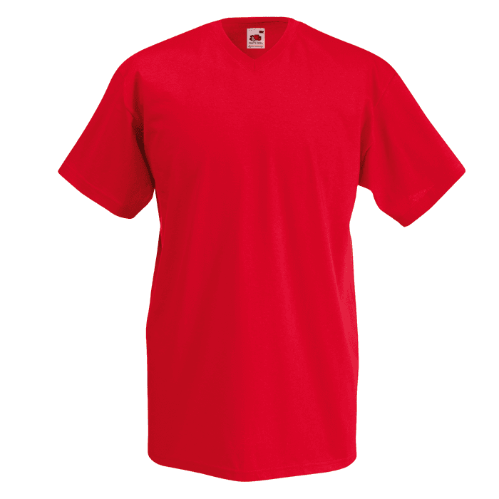 Valueweight V Neck Tee