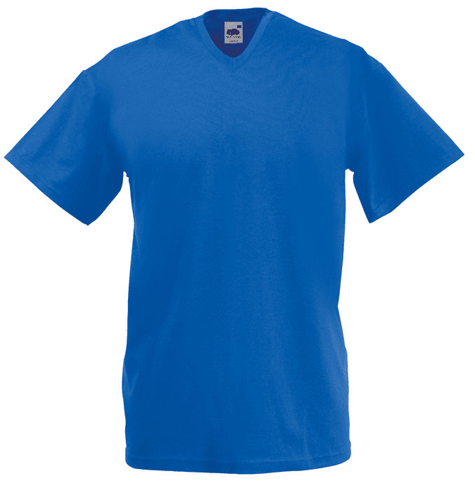 Valueweight V Neck Tee