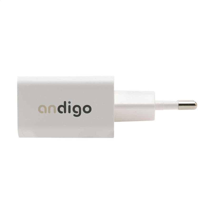 Grundig Wall Charger 230V