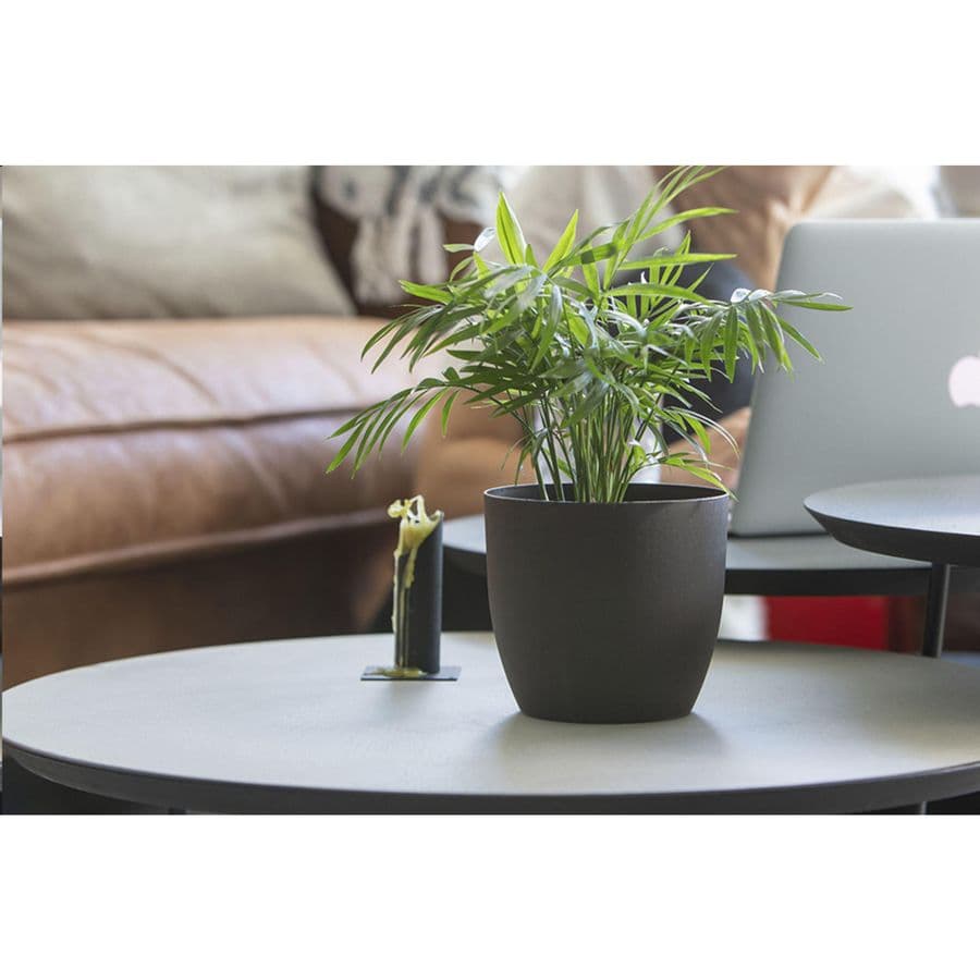 Coffee Flowerpot