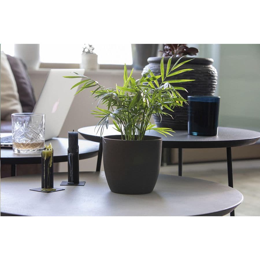 Coffee Flowerpot
