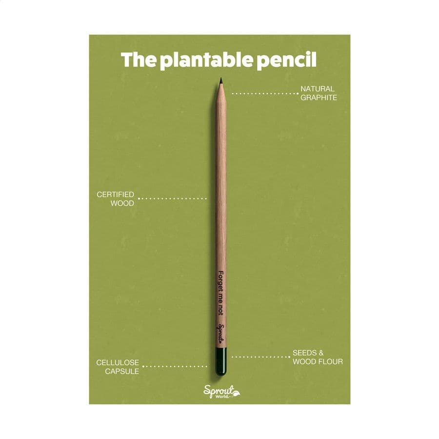 Sproutworld Unsharpened Pencil