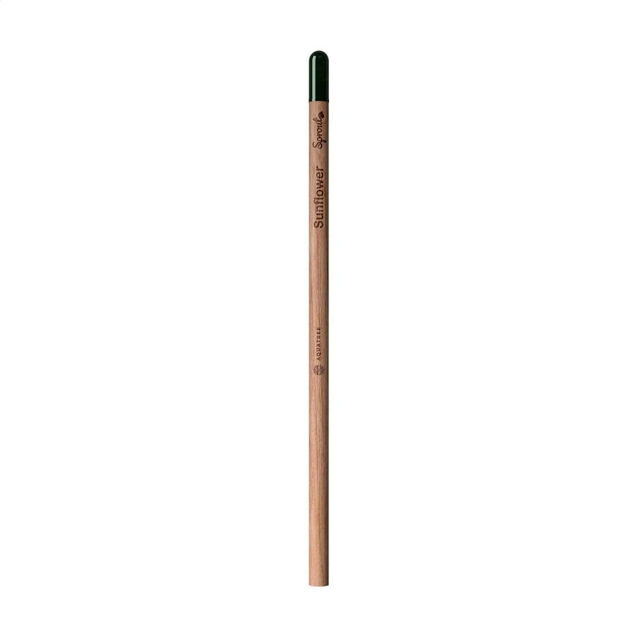 Sproutworld Unsharpened Pencil Wood brown