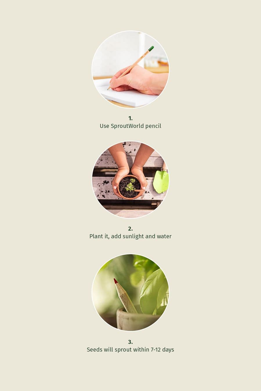 Sproutworld Set: Sharpened Pencil & Header Card