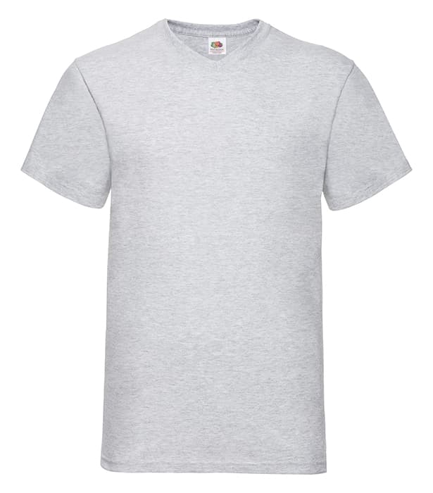 Valueweight V Neck Tee