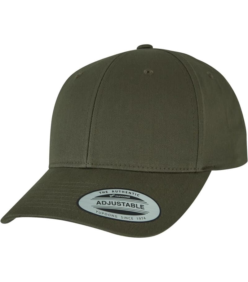 Curved Classic Snapback