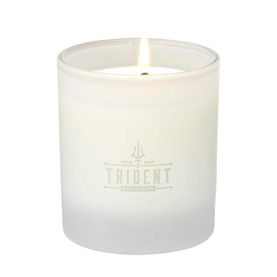 JANZEN Scented Candle Sage 36