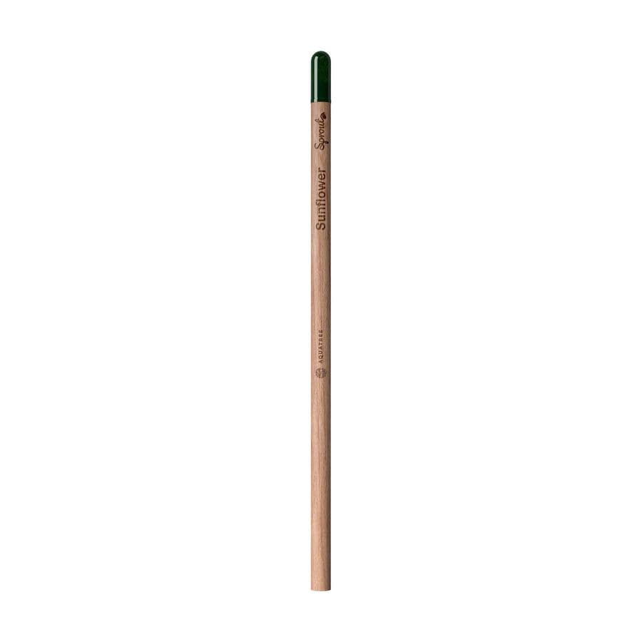 Sproutworld Set: Unsharpened Pencil & Header Card Wood brown